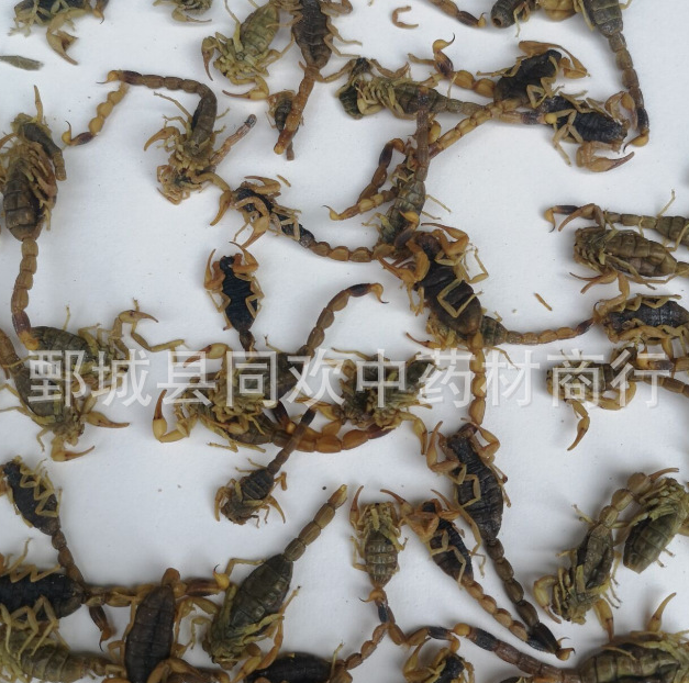 QQ截图20191207001548.png