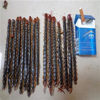 814214,320s.jpg