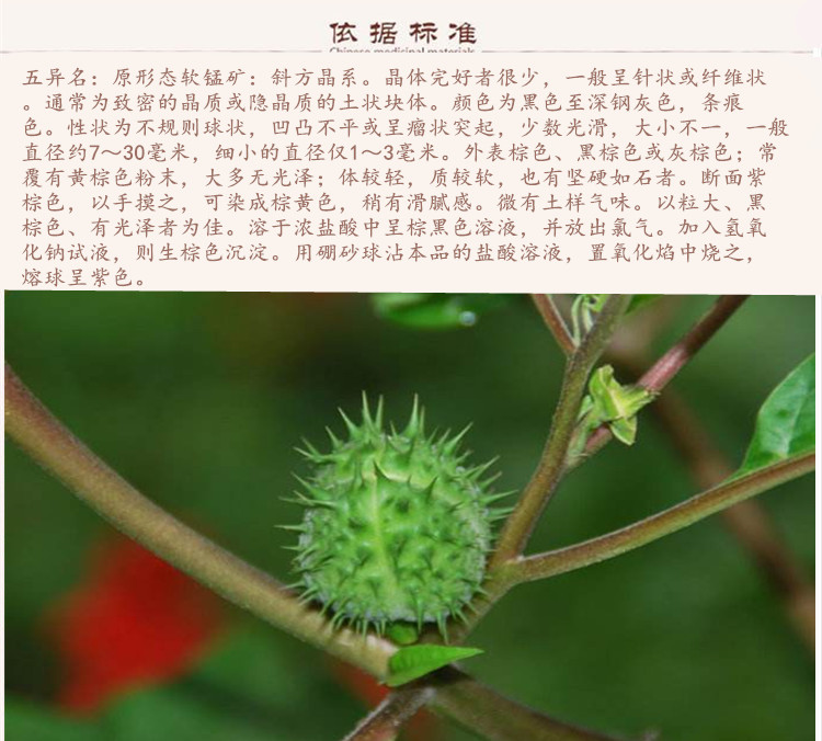 无名异9.jpg