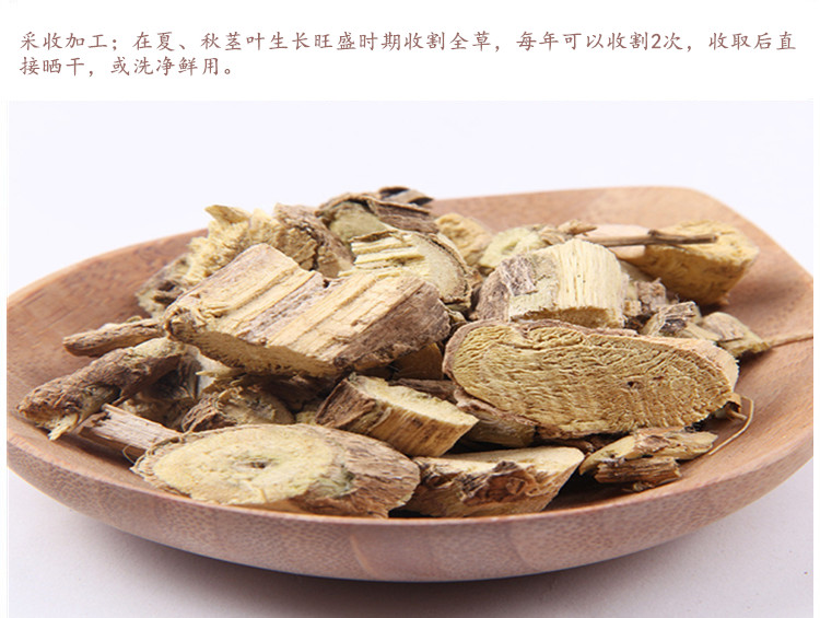 白英4.jpg