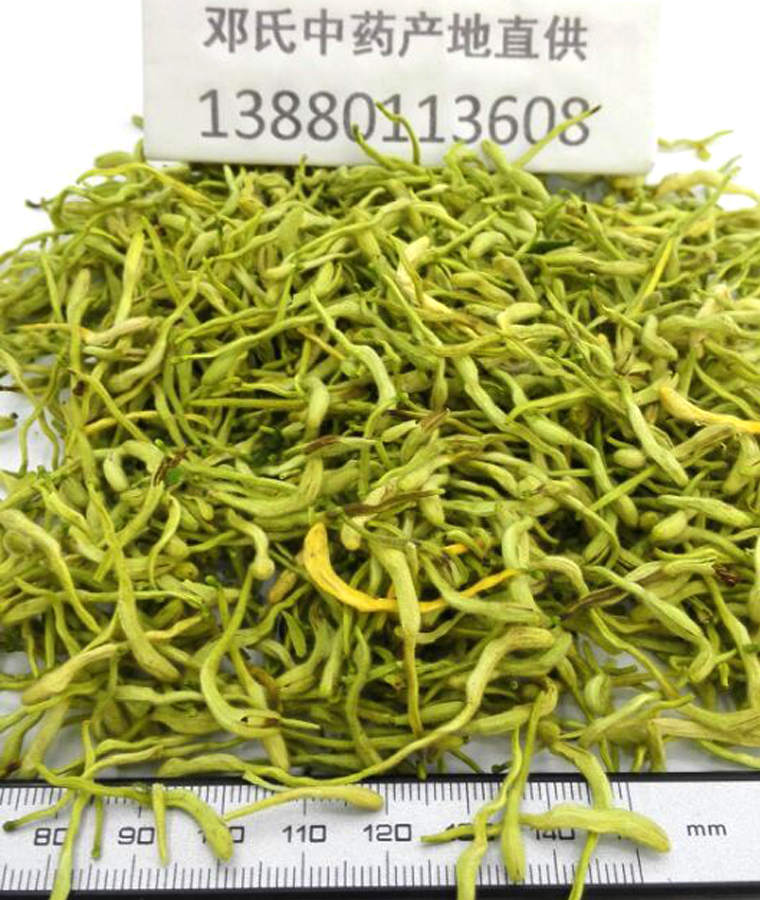 jinyinhua08.jpg