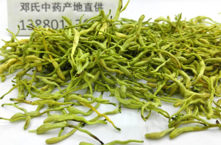 jinyinhua010.jpg
