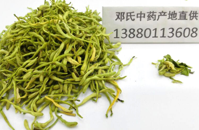 jinyinhua09.jpg