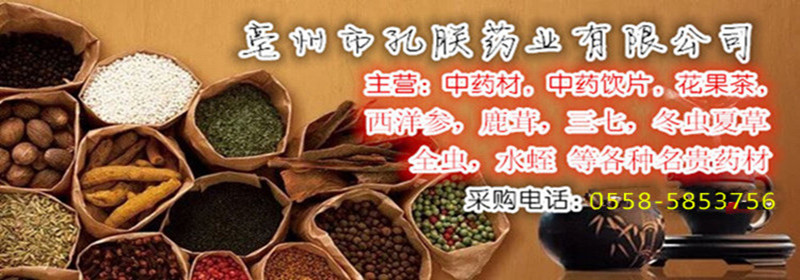 pp_副本tt_副本.jpg