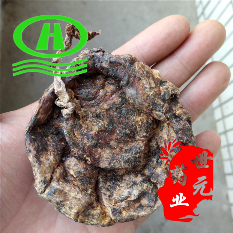 自然色山西丹参圆片18统片~09_副本.jpg