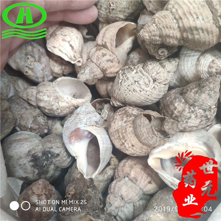 海螺5华西~01_副本.jpg
