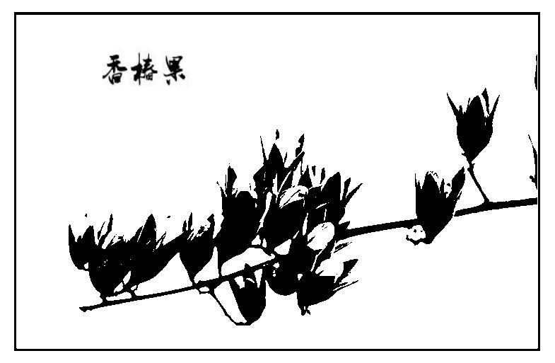 360截图20181029034633944.jpg