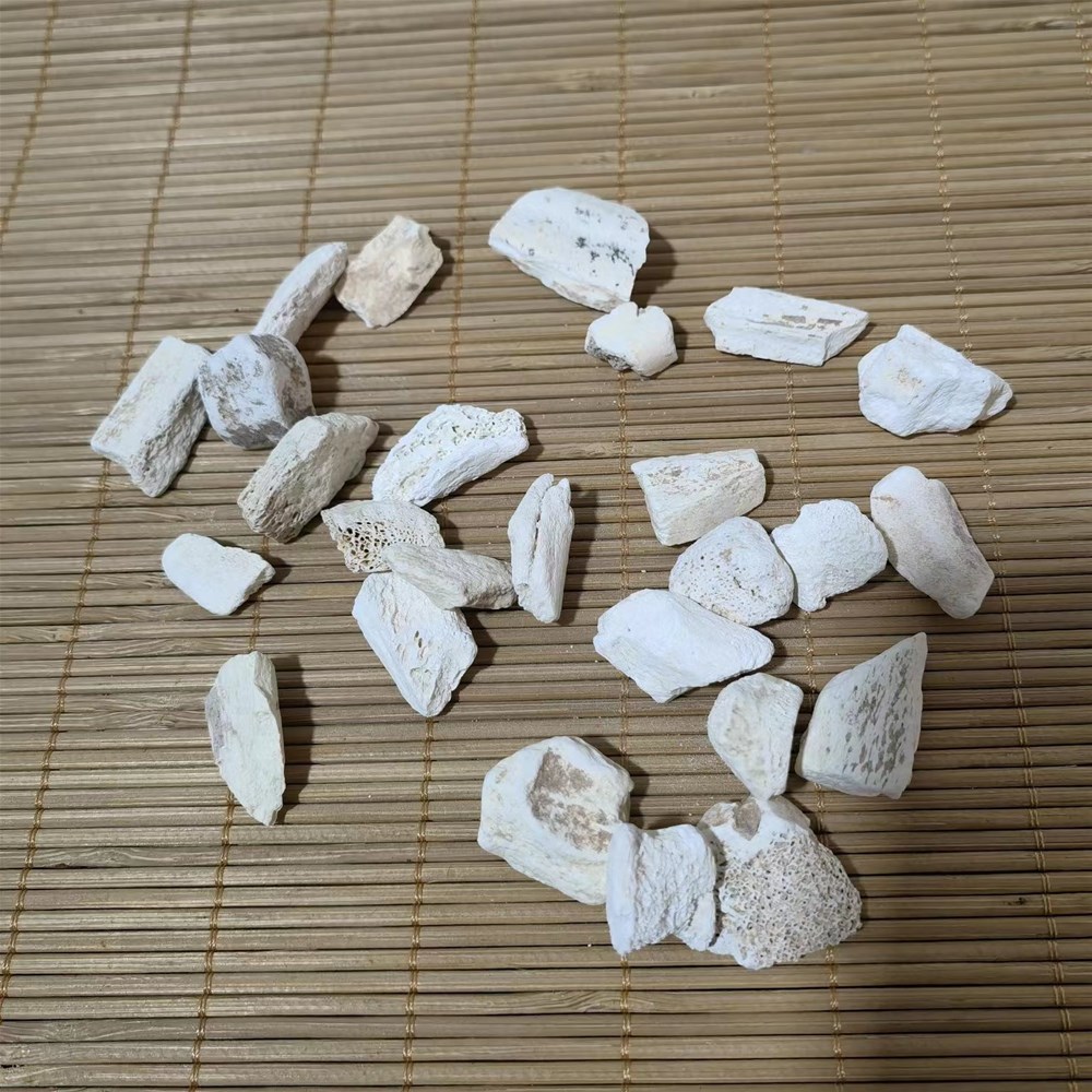 微信图片_20220505142652.jpg