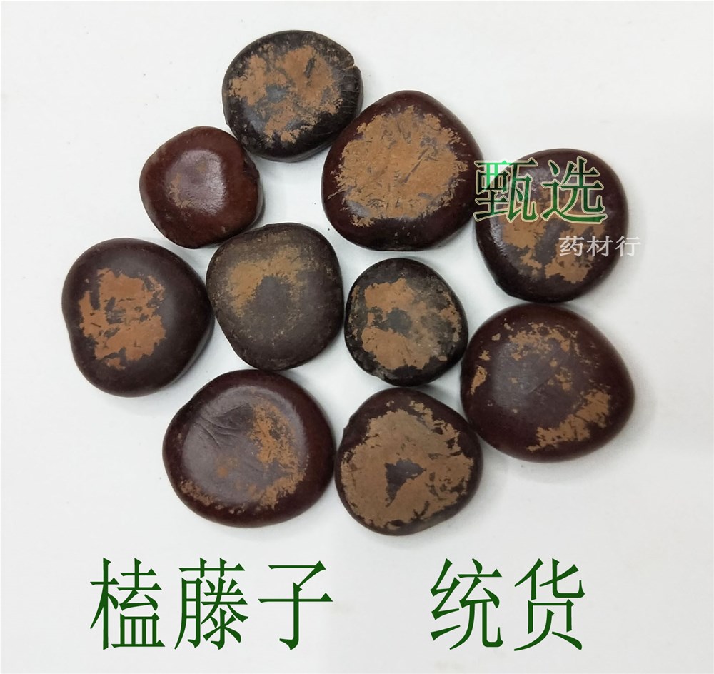 榼藤子水印1.jpg