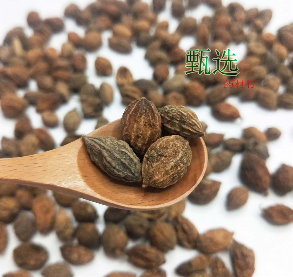 益智仁统货水印12.jpg