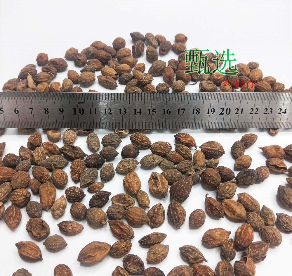 益智仁统货水印11.jpg
