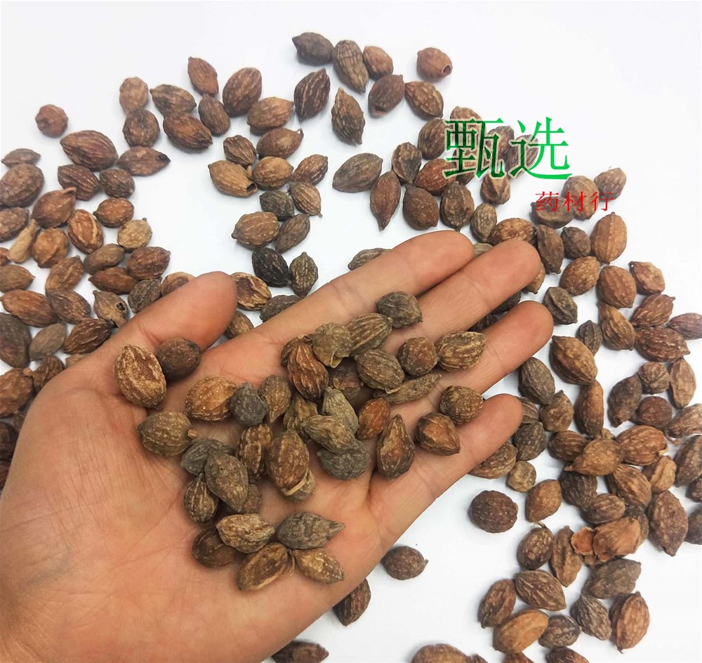 益智仁统货水印10.jpg