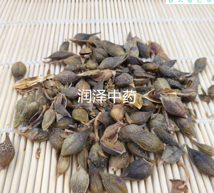 QQ截图20210701180035.png