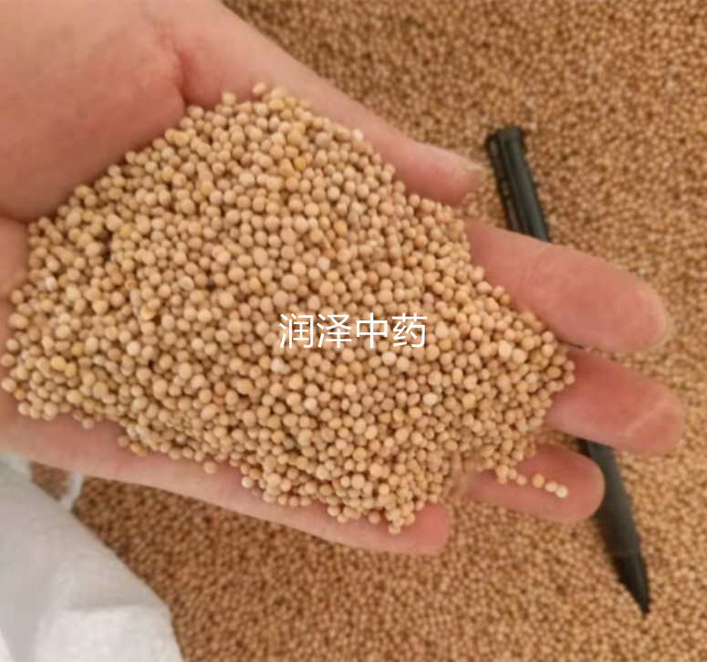 360截图16421023569765.png