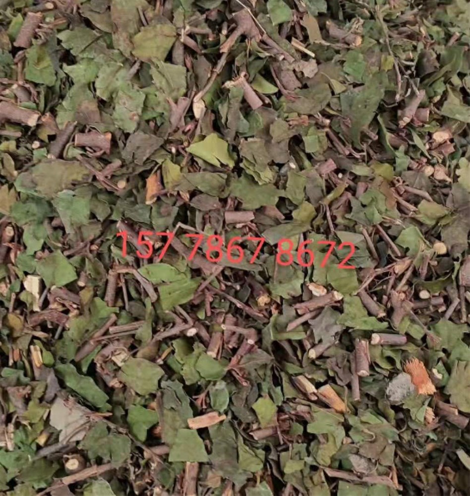 寄生.jpg