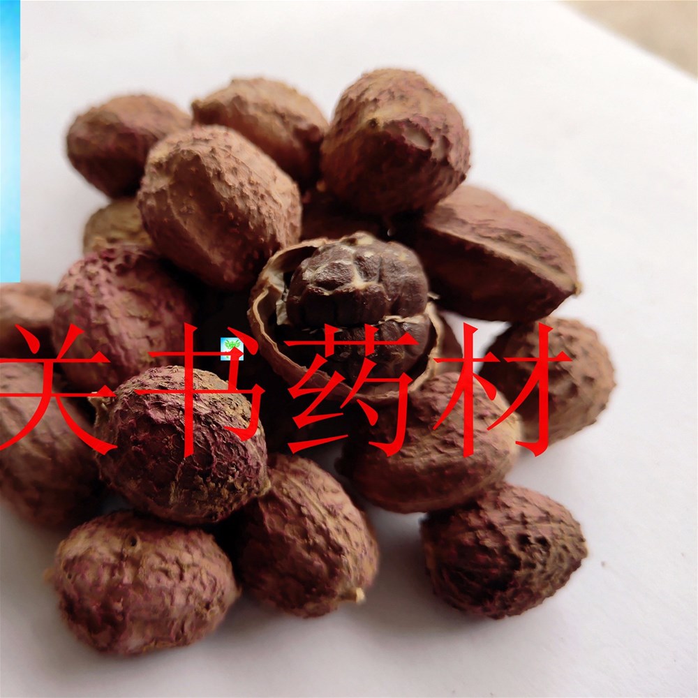 IMG_20181201_110757_副本_副本.jpg