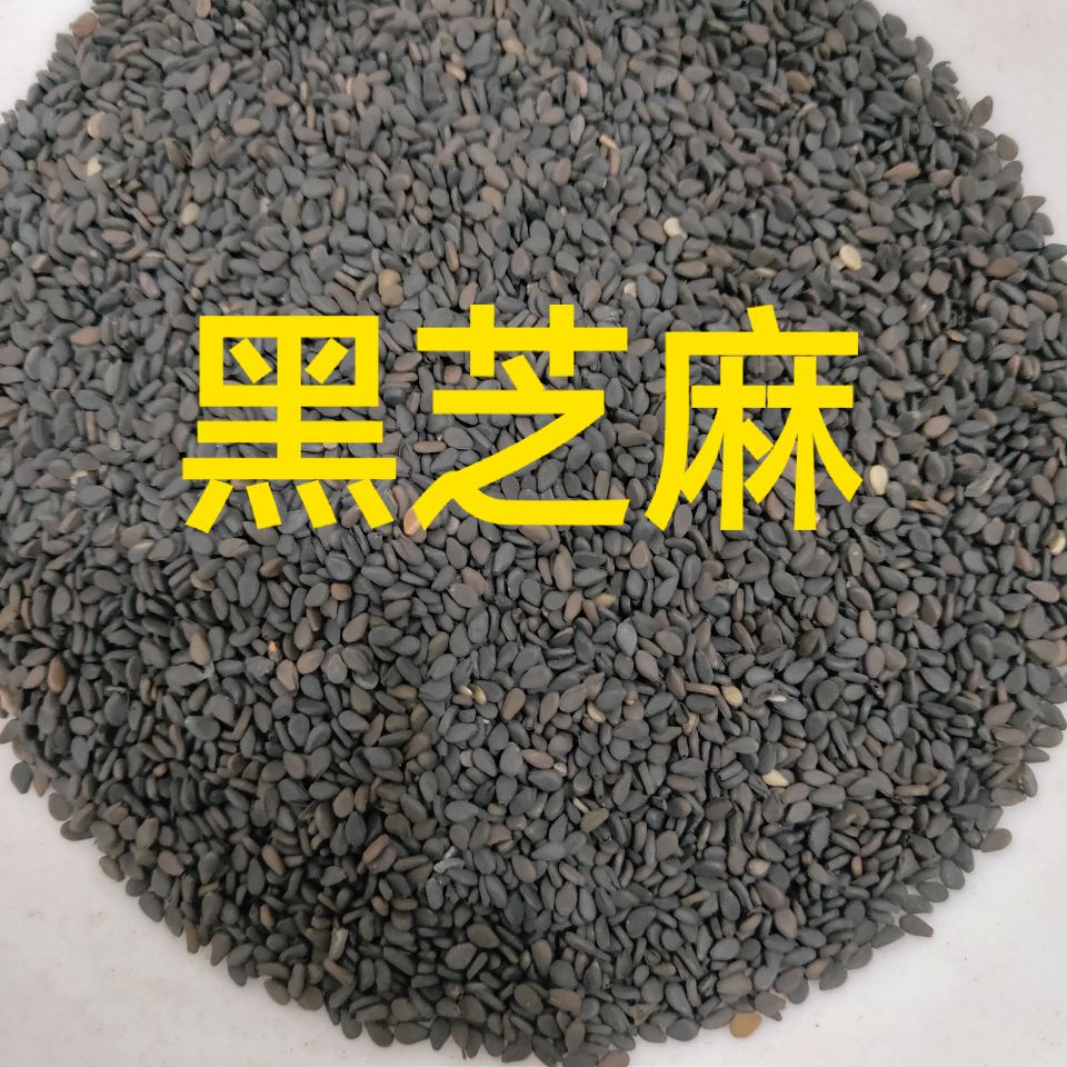 QQ图片20181114124543.jpg