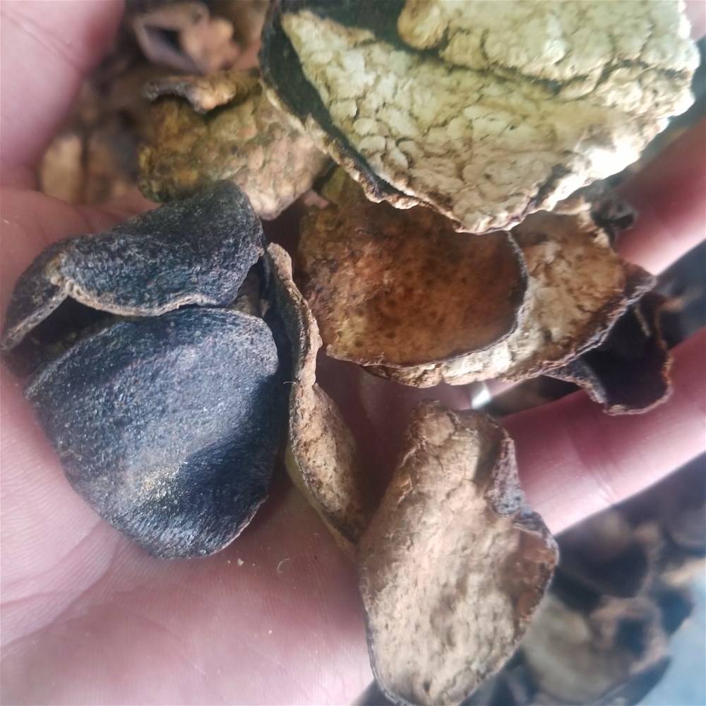 20190404_163401.jpg