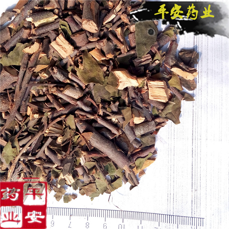 广寄生_副本.jpg