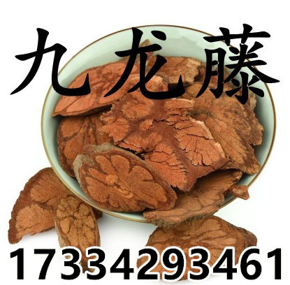 九龙藤.jpg