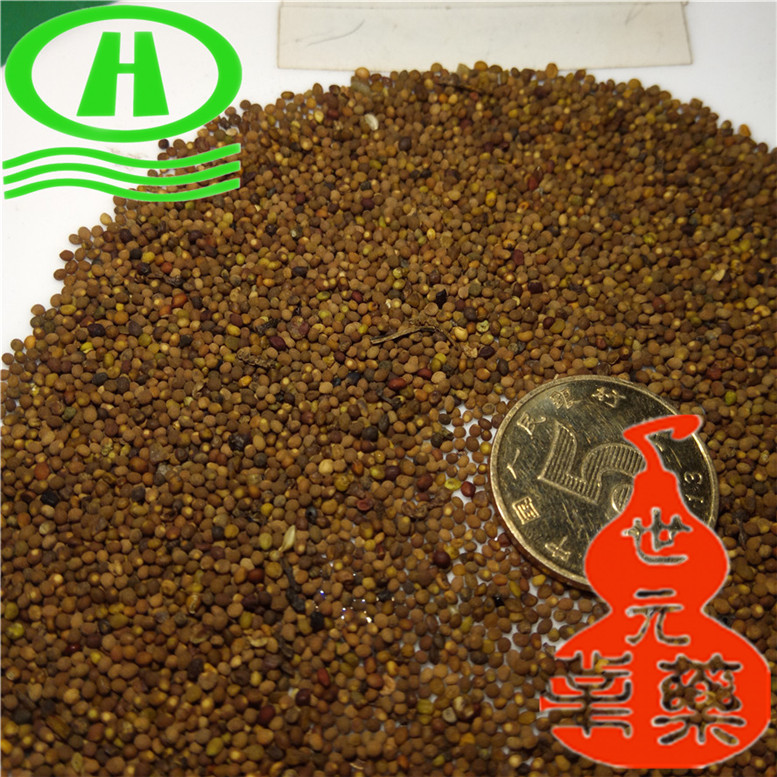 无硫当归小节长片30~07_副本.jpg
