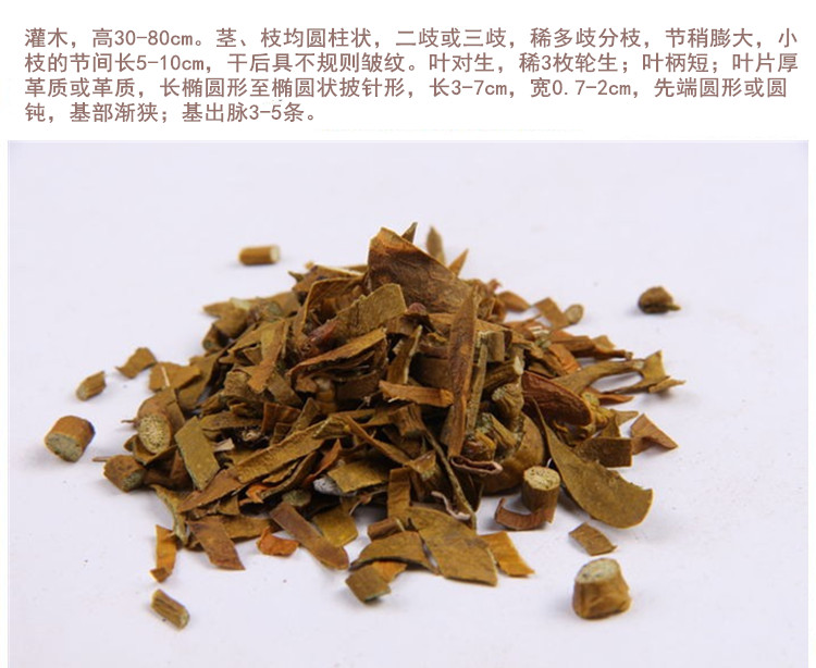 桑寄生5.jpg