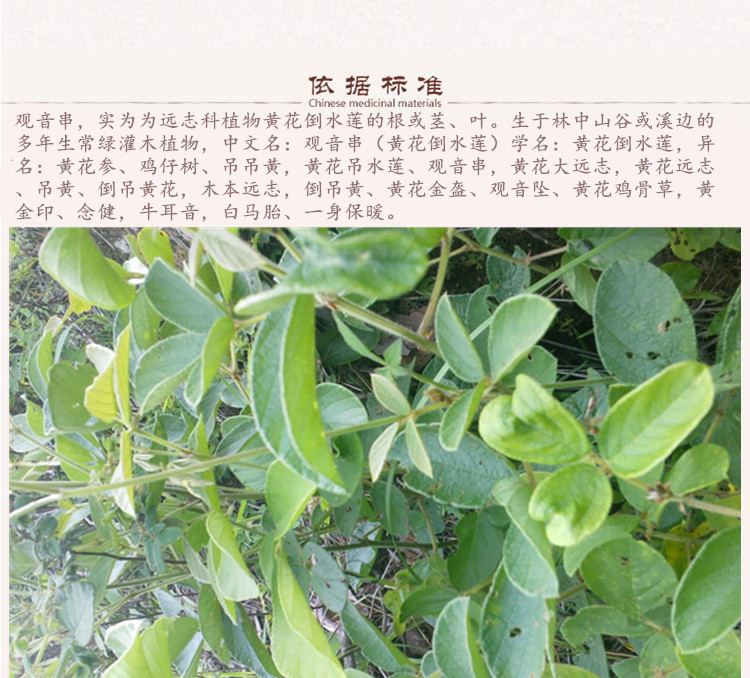 观音串8.jpg