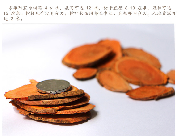 东革阿里4.jpg