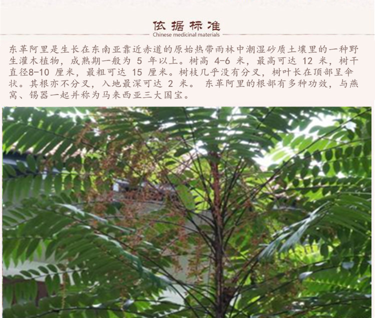 东革阿里6.jpg