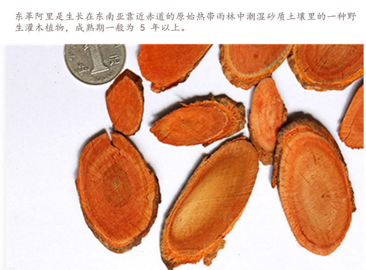 东革阿里3.jpg