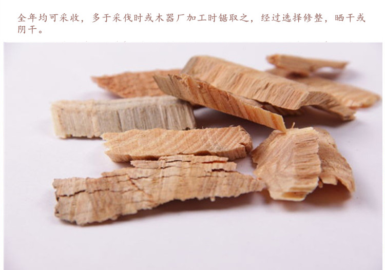 松节shu4.jpg
