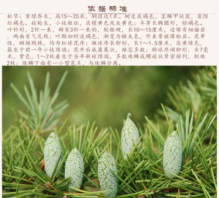 松节9.jpg