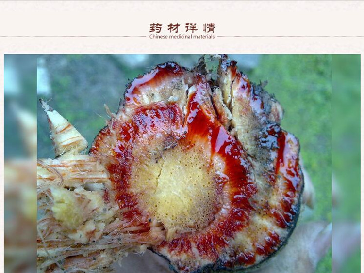 鸡血藤2.jpg