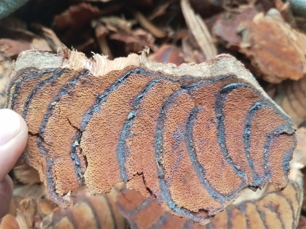 IMG20191123110619.jpg