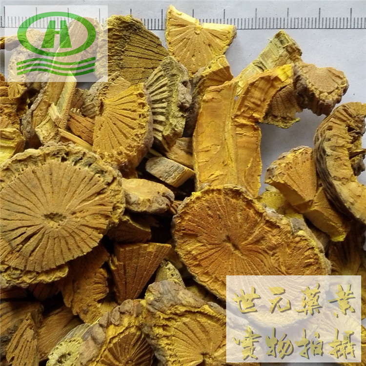 黄腾12_副本.jpg