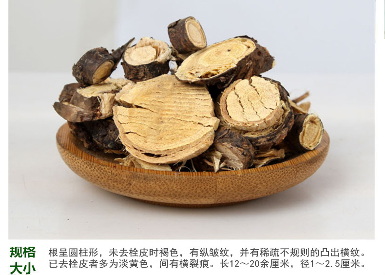 金雀根5.jpg