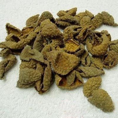 荔枝皮  (1).jpg