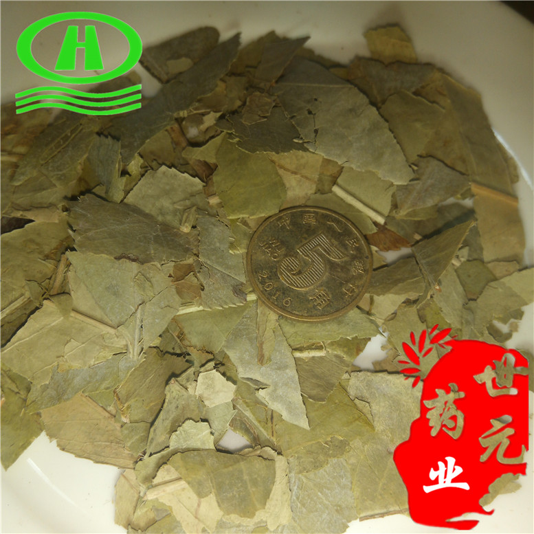 石楠叶12升级~08_副本.jpg