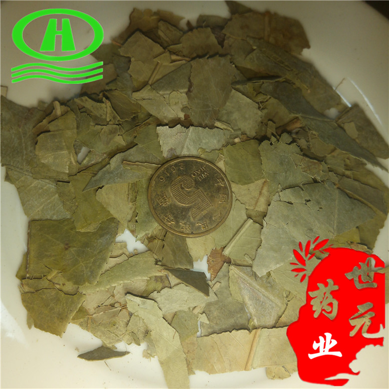 石楠叶12升级~07_副本.jpg