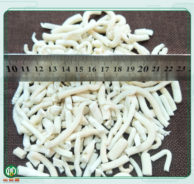 xiaotongcaojieduan08.jpg