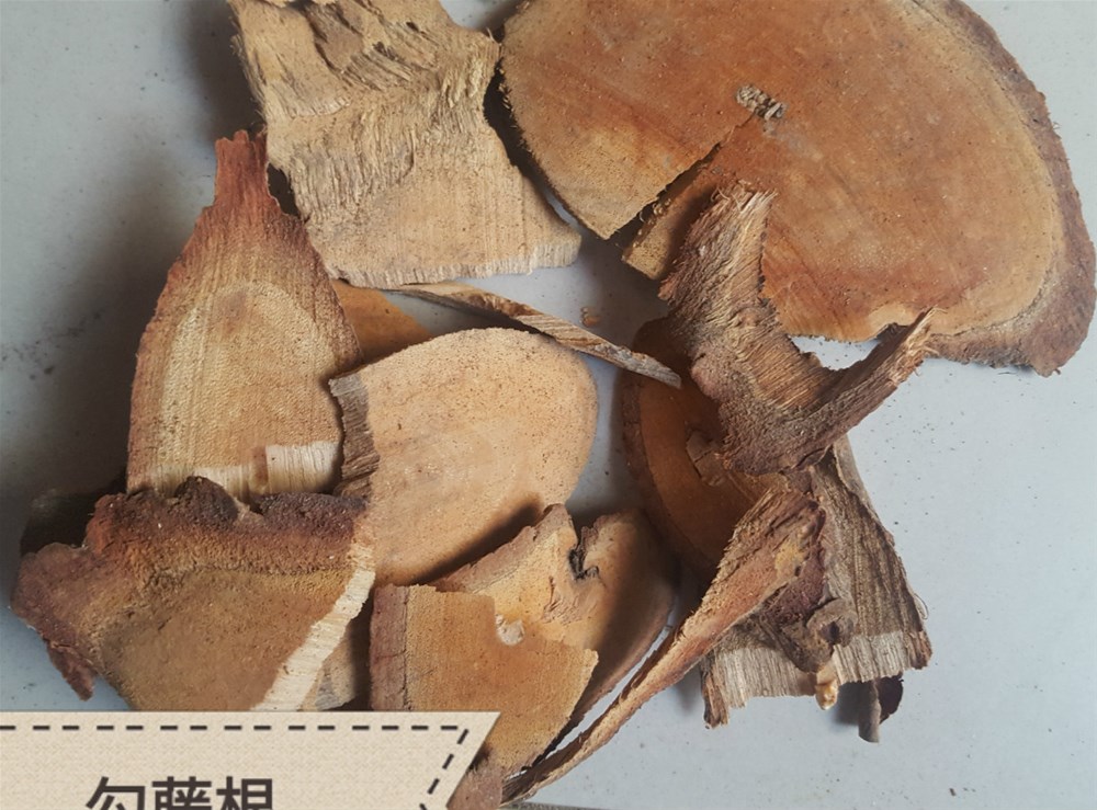 钩藤根_meitu_1.jpg