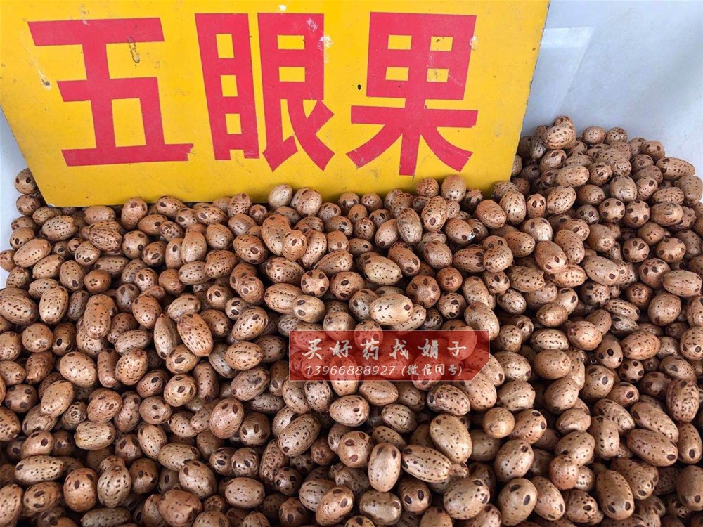 五眼果 5 缅甸 (2).jpg