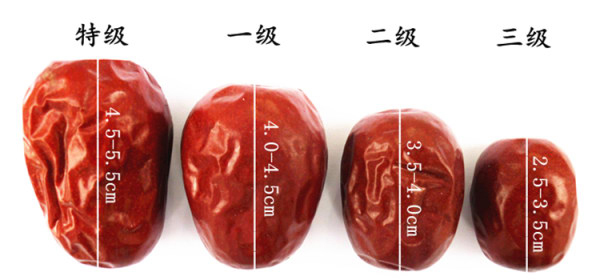 大枣特级.jpg
