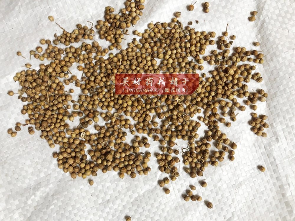 香菜籽10 (1).jpg