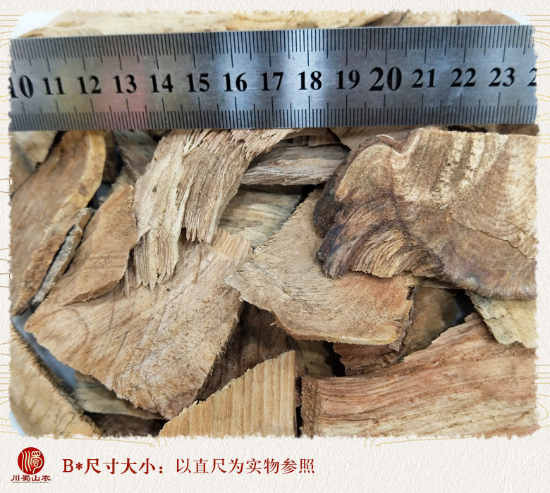 cstcssnyousongjietong09.jpg