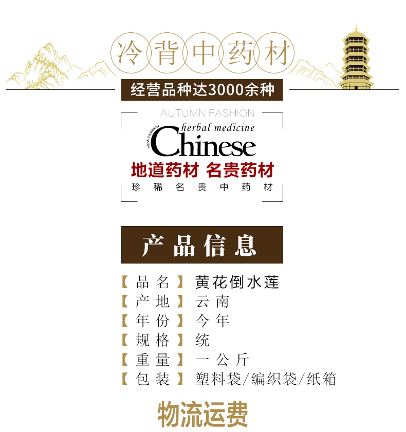 冰源堂诚实通详情页黄花倒水莲_02.jpg