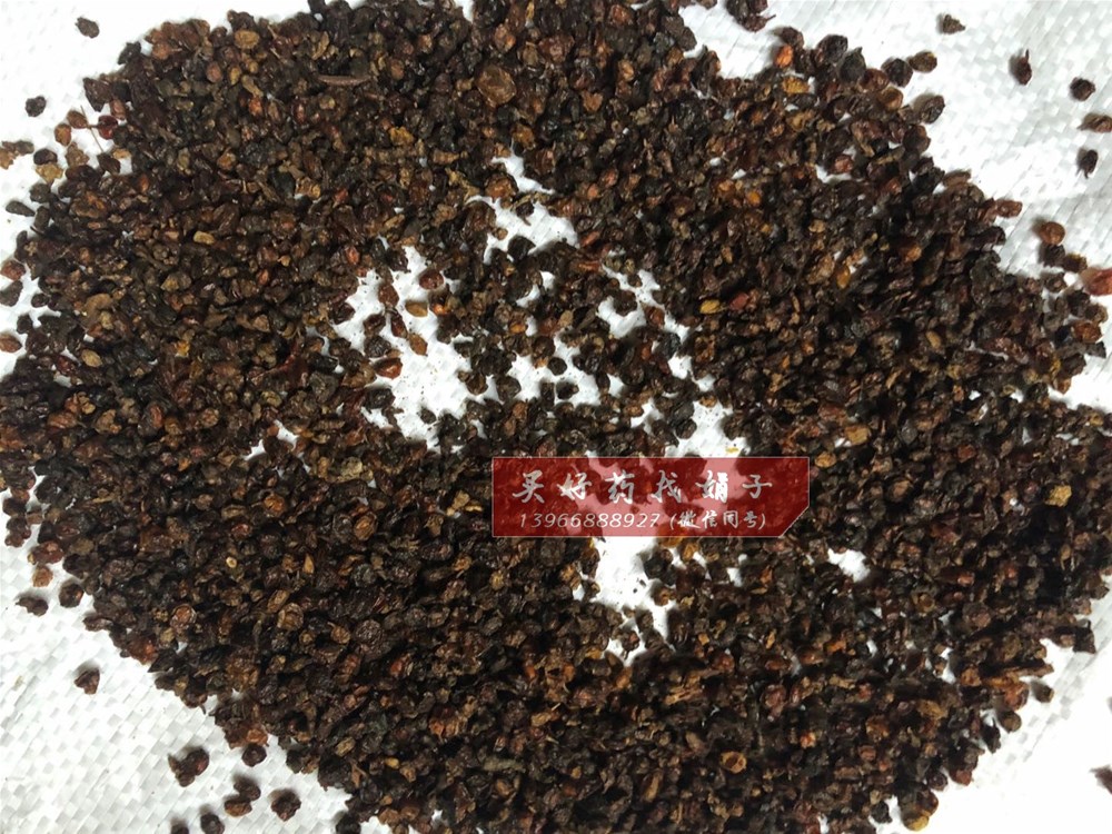 沙棘果 21 (2).jpg