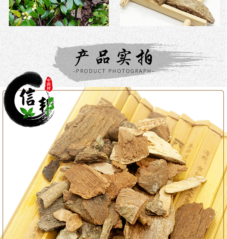 地枫皮详情_03.jpg