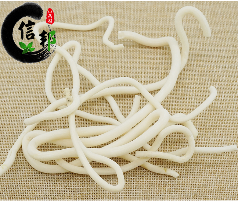 小通草_03.jpg