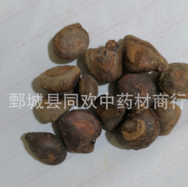 QQ截图20191208210452.png